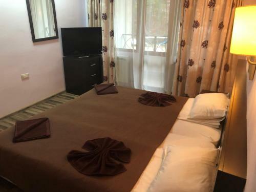 Park Hotel Troyan