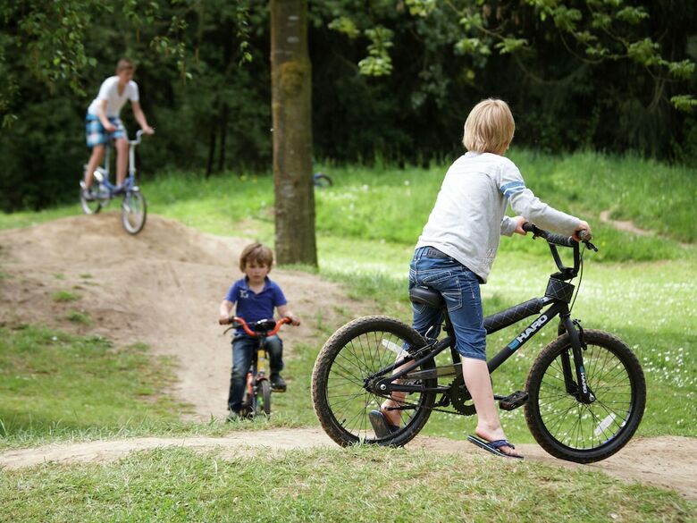 Tidy, Child-friendly Villa With A Sauna In Limburg