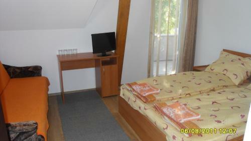 Hotel Pensiunea Trasura - Hinto Panzio
