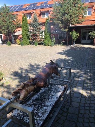 Hotel Pensiunea Trasura - Hinto Panzio