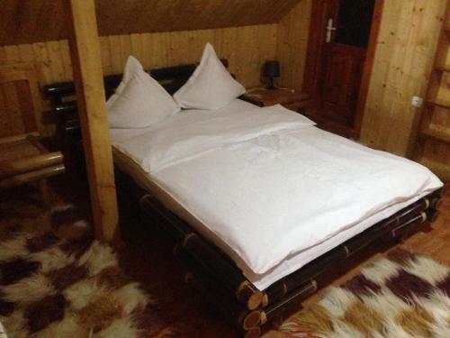 Agroturismo Pensiunea Valea Badilii