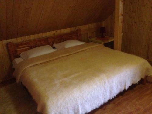 Agroturismo Pensiunea Valea Badilii