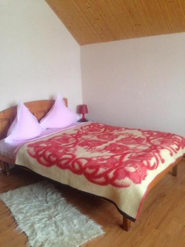 Agroturismo Pensiunea Valea Badilii