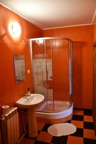 Agroturismo Pensiunea Valea Badilii
