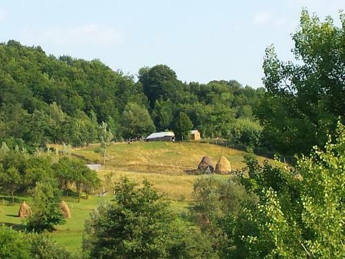 Agroturismo Pensiunea Valea Badilii