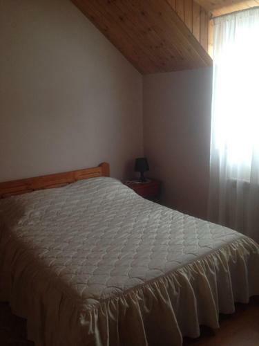 Agroturismo Pensiunea Valea Badilii