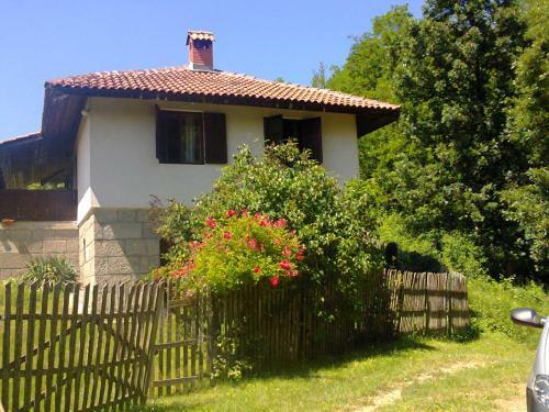 Etno Villa Novakovic