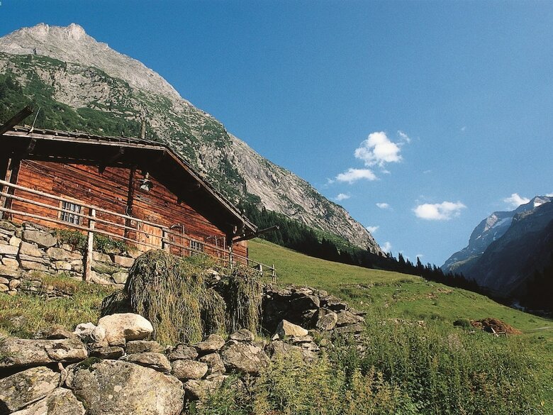 Pleasant Apartment With Ski Storage,balcony, Garden, Parking