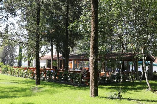 Hotel Park