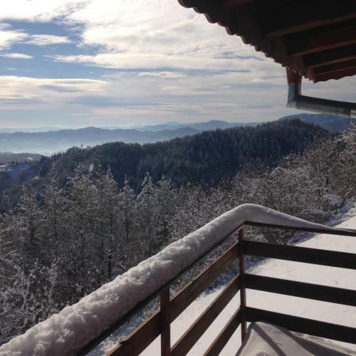 Hostal Guest House Alexandrova