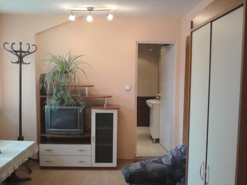 Hostal Aleks Guest House