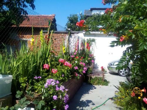 Hostal Aleks Guest House