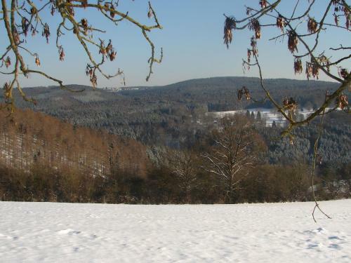 Lodge Holiday Home Aux Quatre Saisons Ferrieres