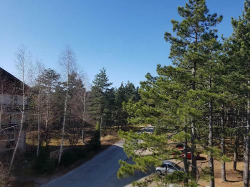 Apartamento Zlatibor Plus