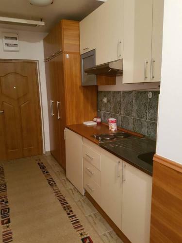 Apartamento Zlatibor Plus