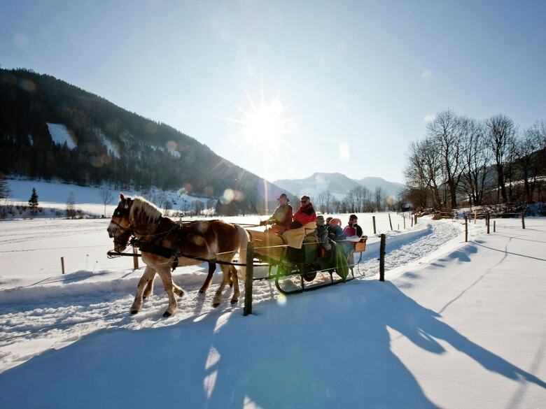 Scenic Chalet In Sankt Georgen On Ski Slopes