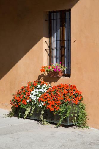 B&B Stradivari