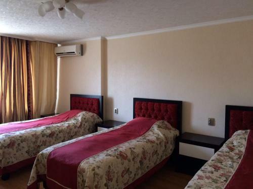 Hotel Pushkinskaya