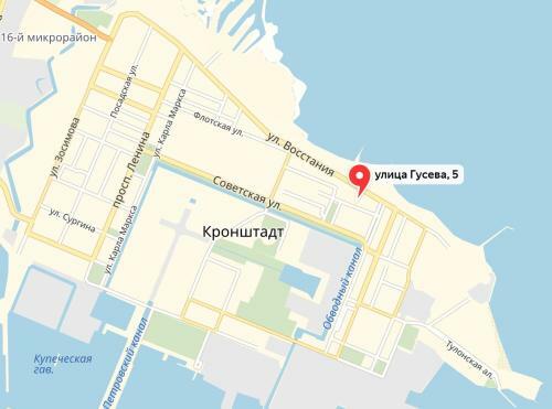 Apartment On Guseva 5