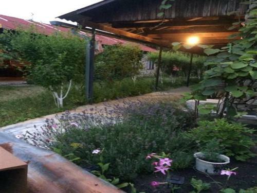 Hostal Guest House Margo