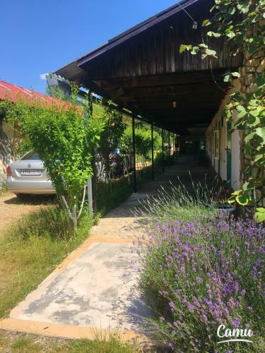 Hostal Guest House Margo