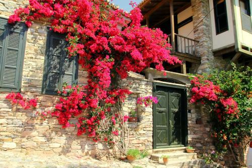 Eski Doganbey Houses