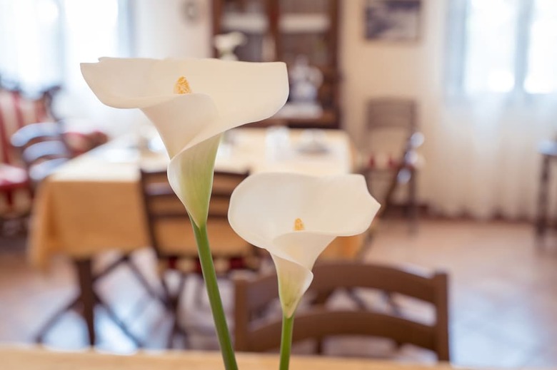 B&B Corte Burchio