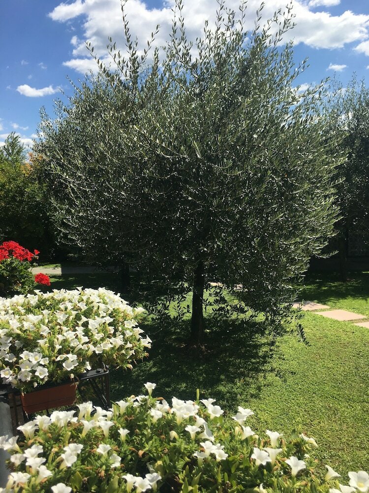 Hotel Affittacamere Il Melograno