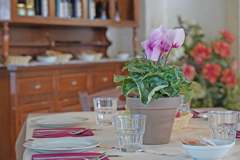 Agroturismo Agriturismo Corte Tonolli