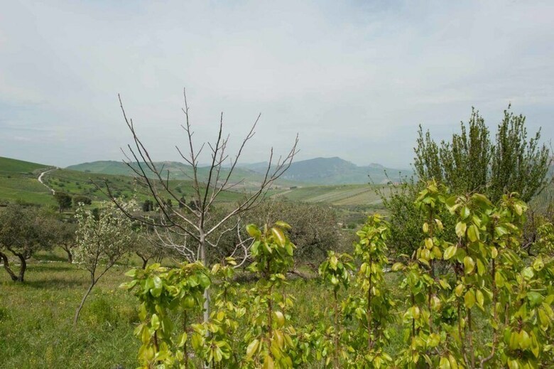 Bed & Breakfast Rocca Dei Capperi