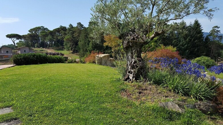 Agroturismo Agriturismo Podere Montese