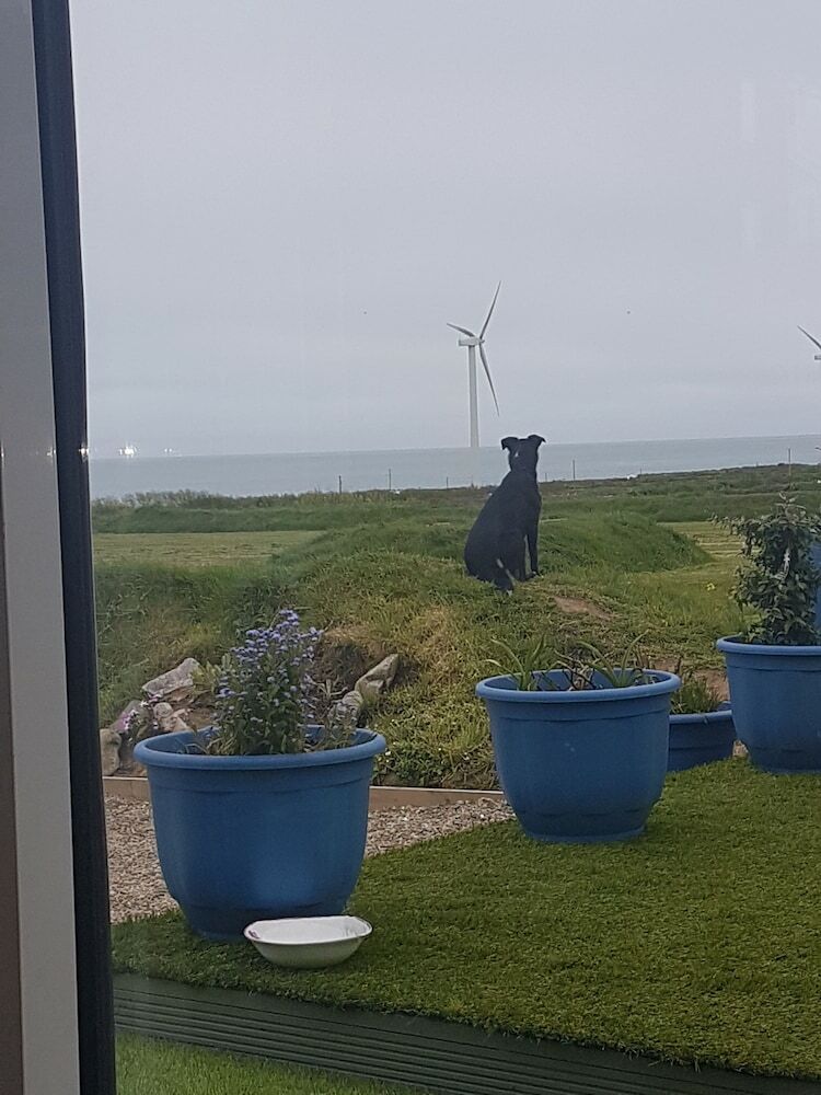 Bed & Breakfast Windy Acre