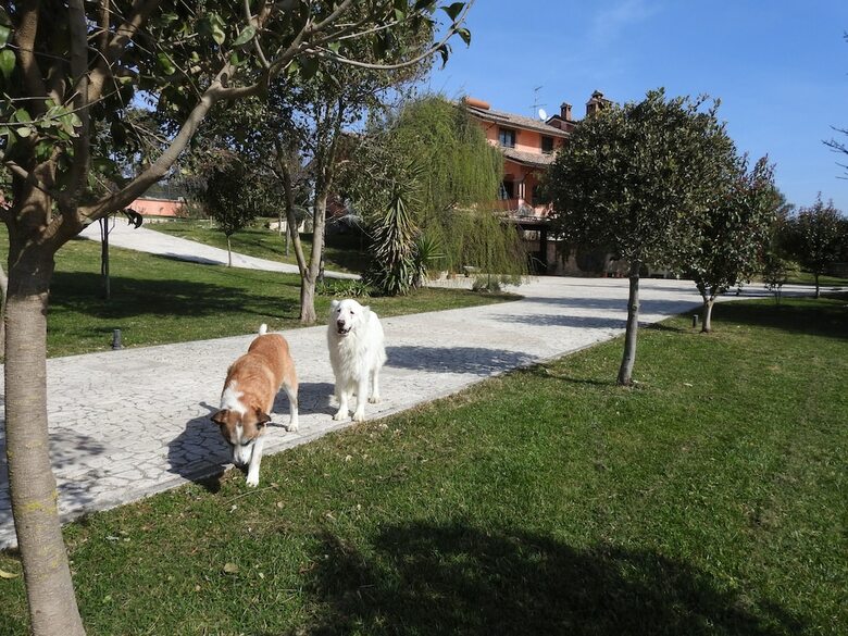 Apartamento Alloggio Turistico Confortevole Passo Co
