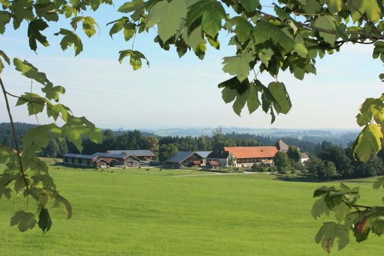 Gut Grasleiten