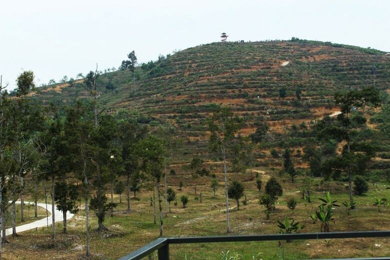 Hotel Karak Orchard Resorts
