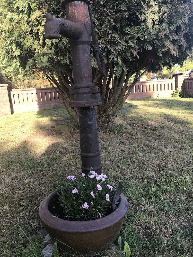 Triumph In Der Heide