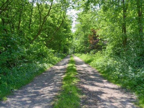 Halfmoon Wood