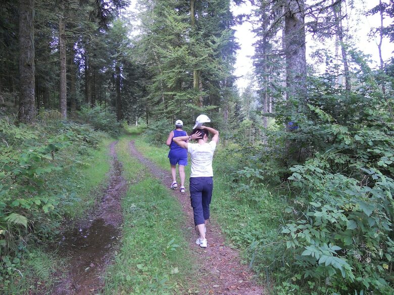 Chalet Les Perrigueys