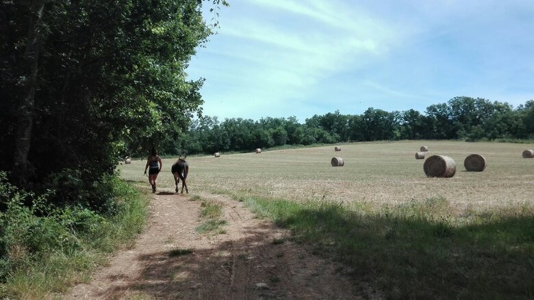 Bed & Breakfast Un Chemin En Quercy