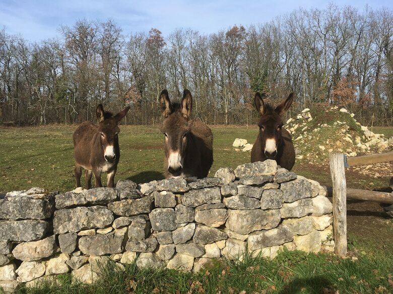 Bed & Breakfast Un Chemin En Quercy