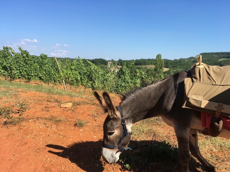 Bed & Breakfast Un Chemin En Quercy