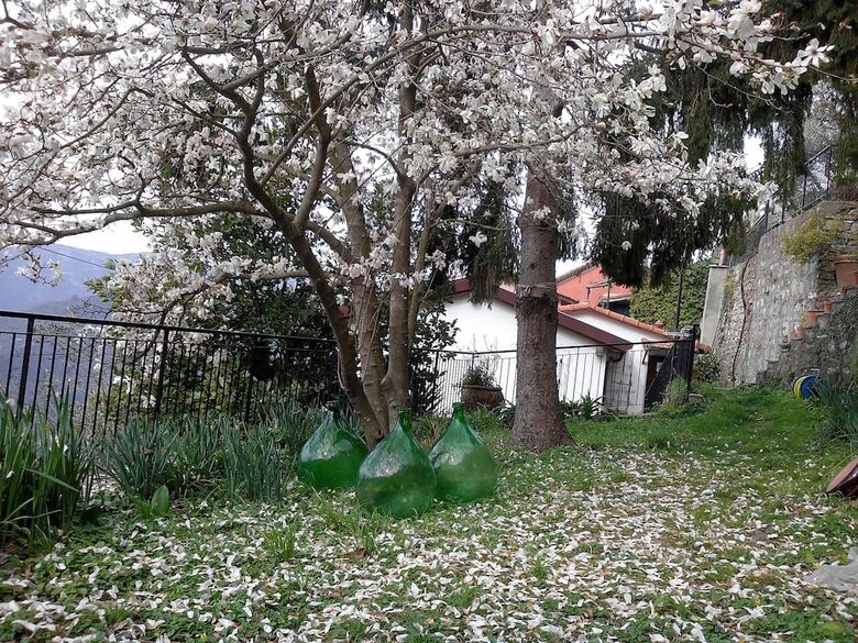 B&B I Glicini
