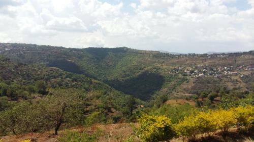 Valley View Bunglow