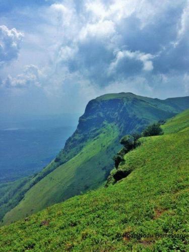 Butter Clouds Homestay