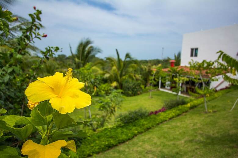 Hotel Arganama Guesthouse