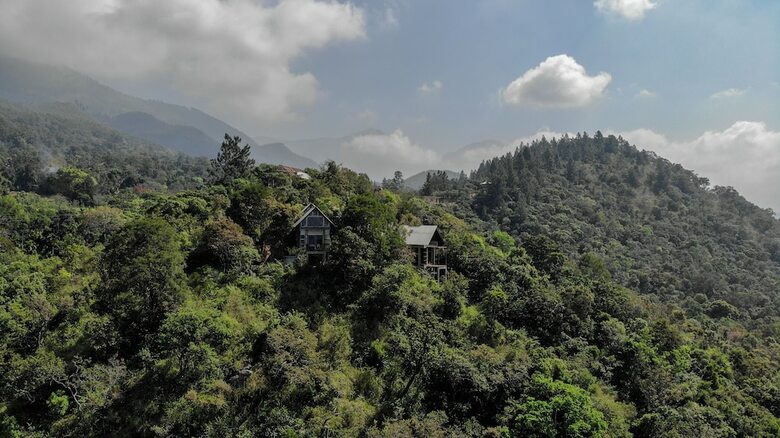 Hotel Treehouse Chalets