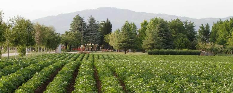 Agroturismo Agriturismo La Borina