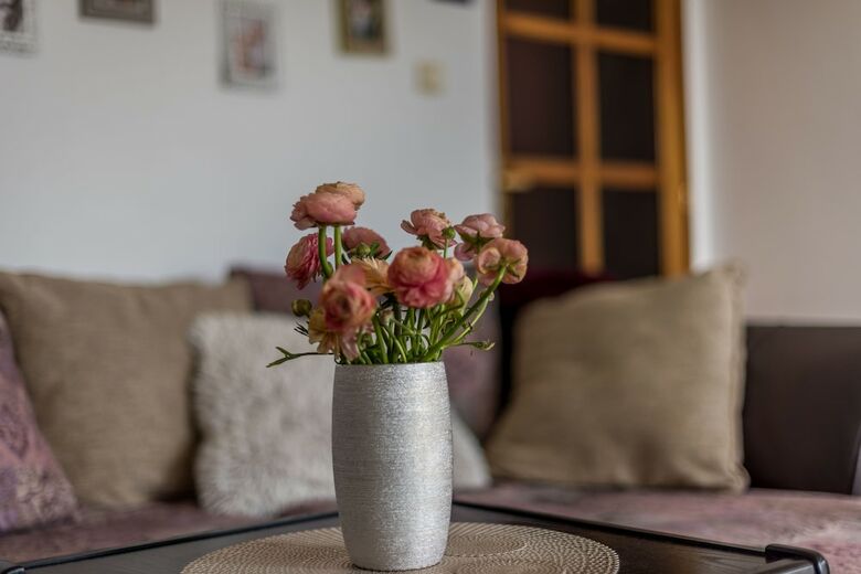 Apartment Piago