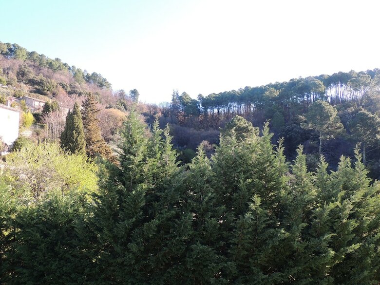 Bed & Breakfast Les Aigrefeuilles