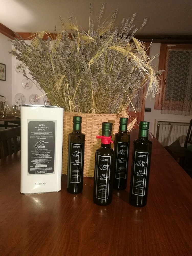 Agroturismo Agriturismo Terra Dei Falchi